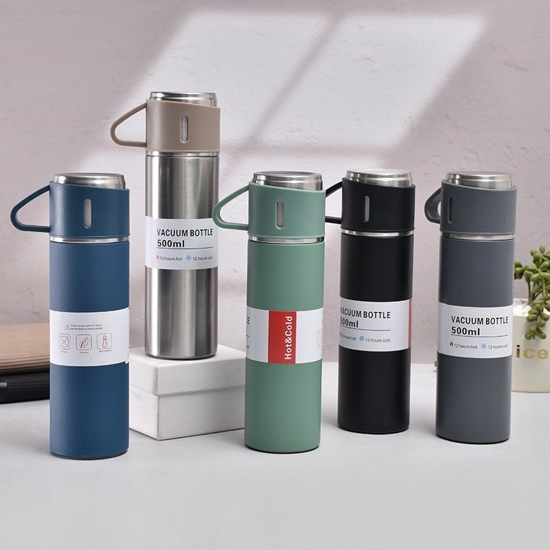 Stainless Steel Thermo 17oz Vacuum Insulated Bottle with Handle 330g Designed to Suit Adults